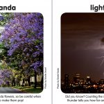 My first Jozi Words Book